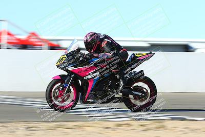 media/Jan-09-2022-SoCal Trackdays (Sun) [[2b1fec8404]]/Front Straight Speed Shots (1pm)/